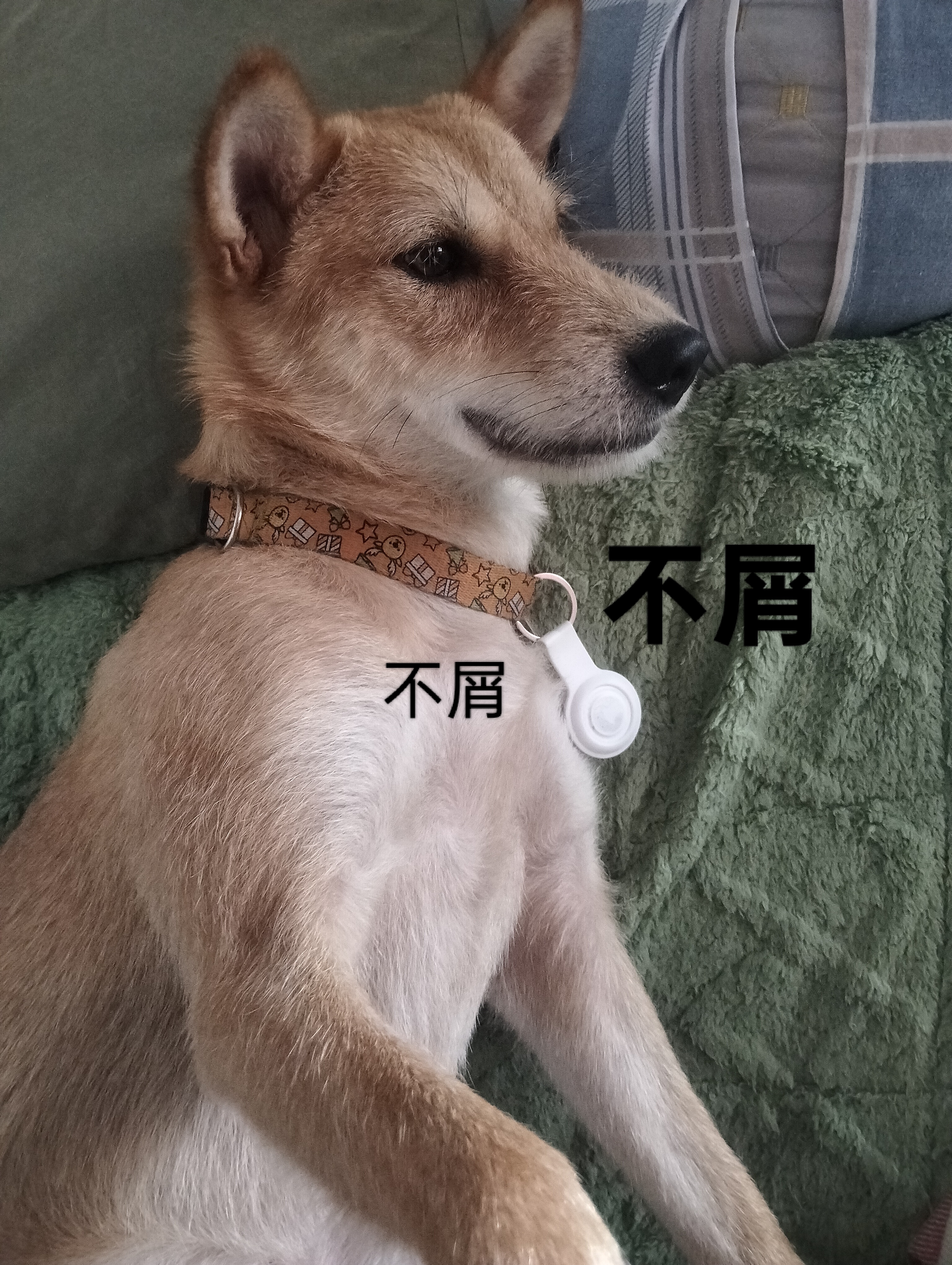 咖啡 1