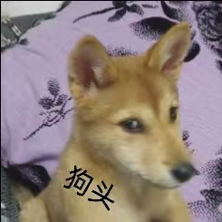 咖啡 5