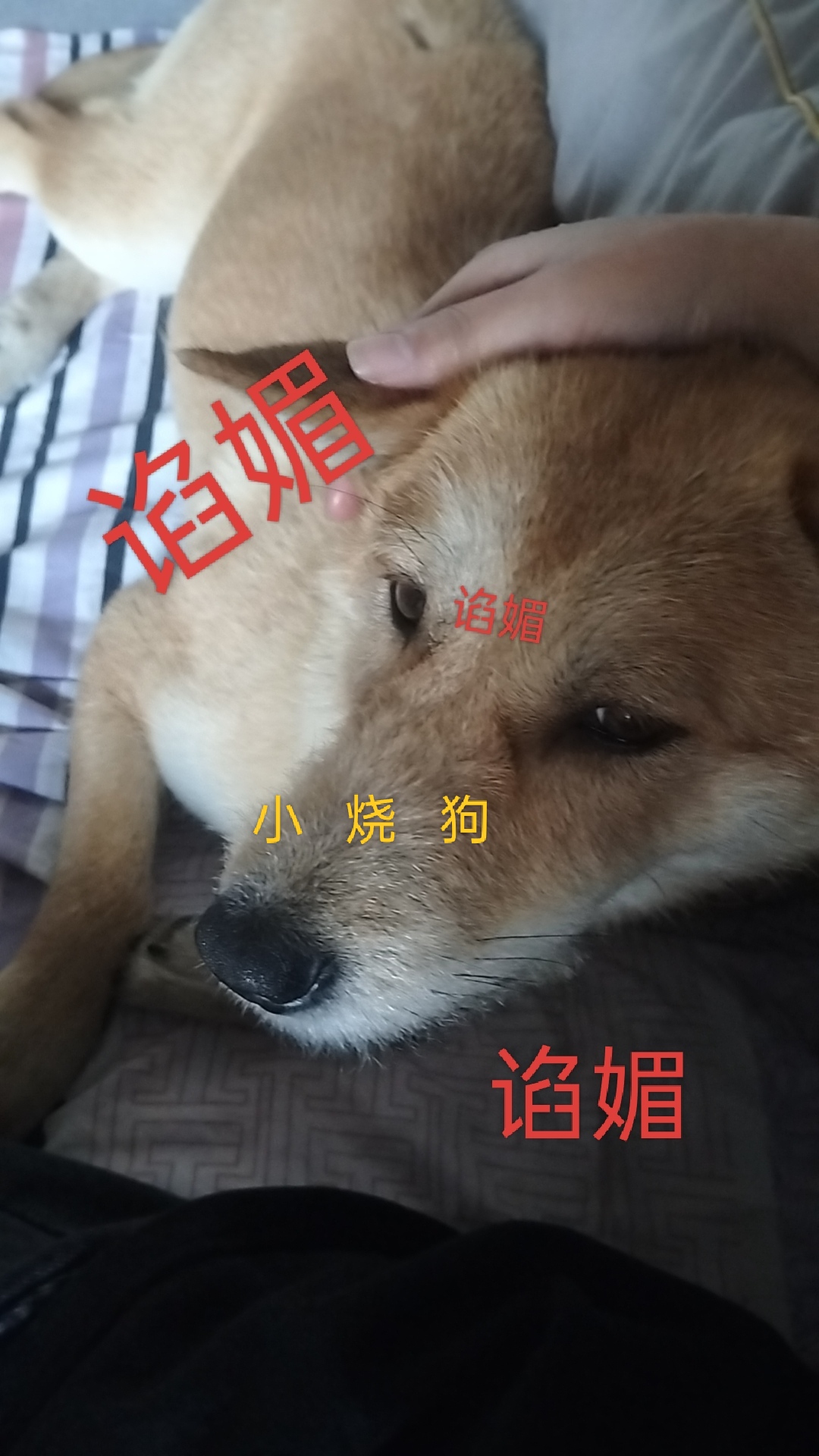 咖啡 8