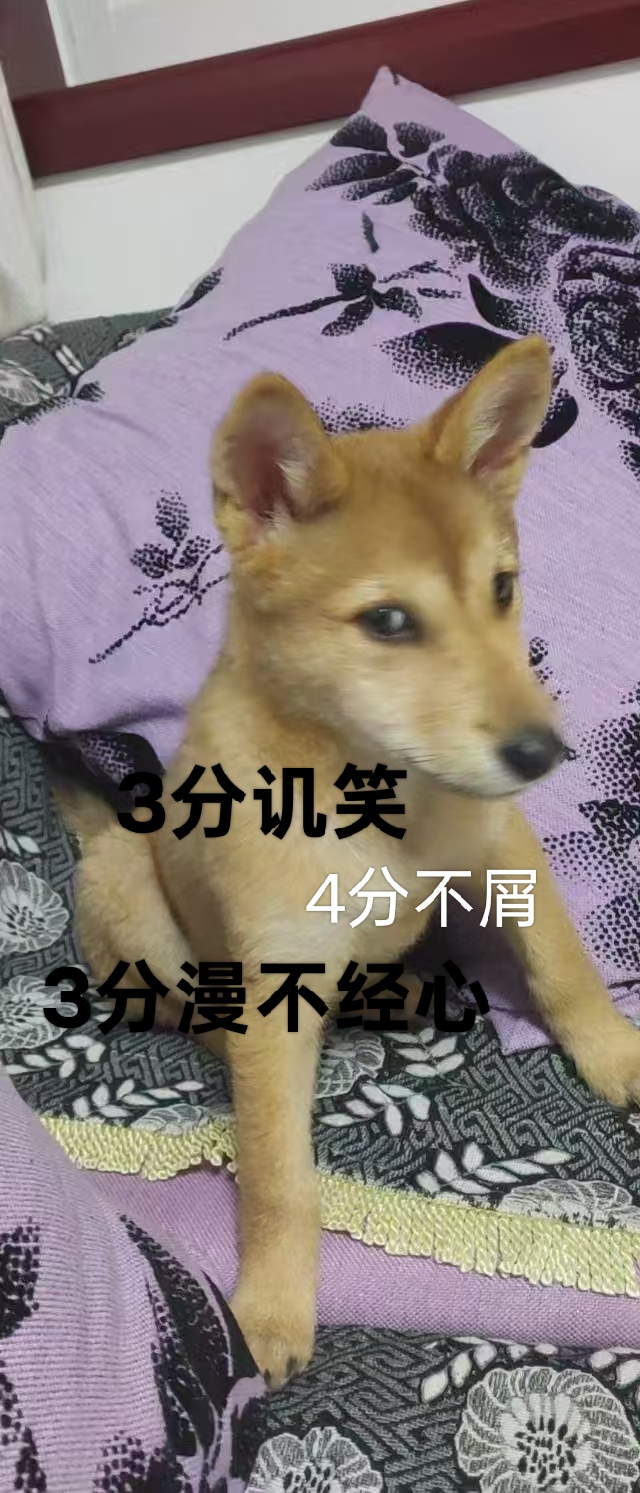 咖啡 6