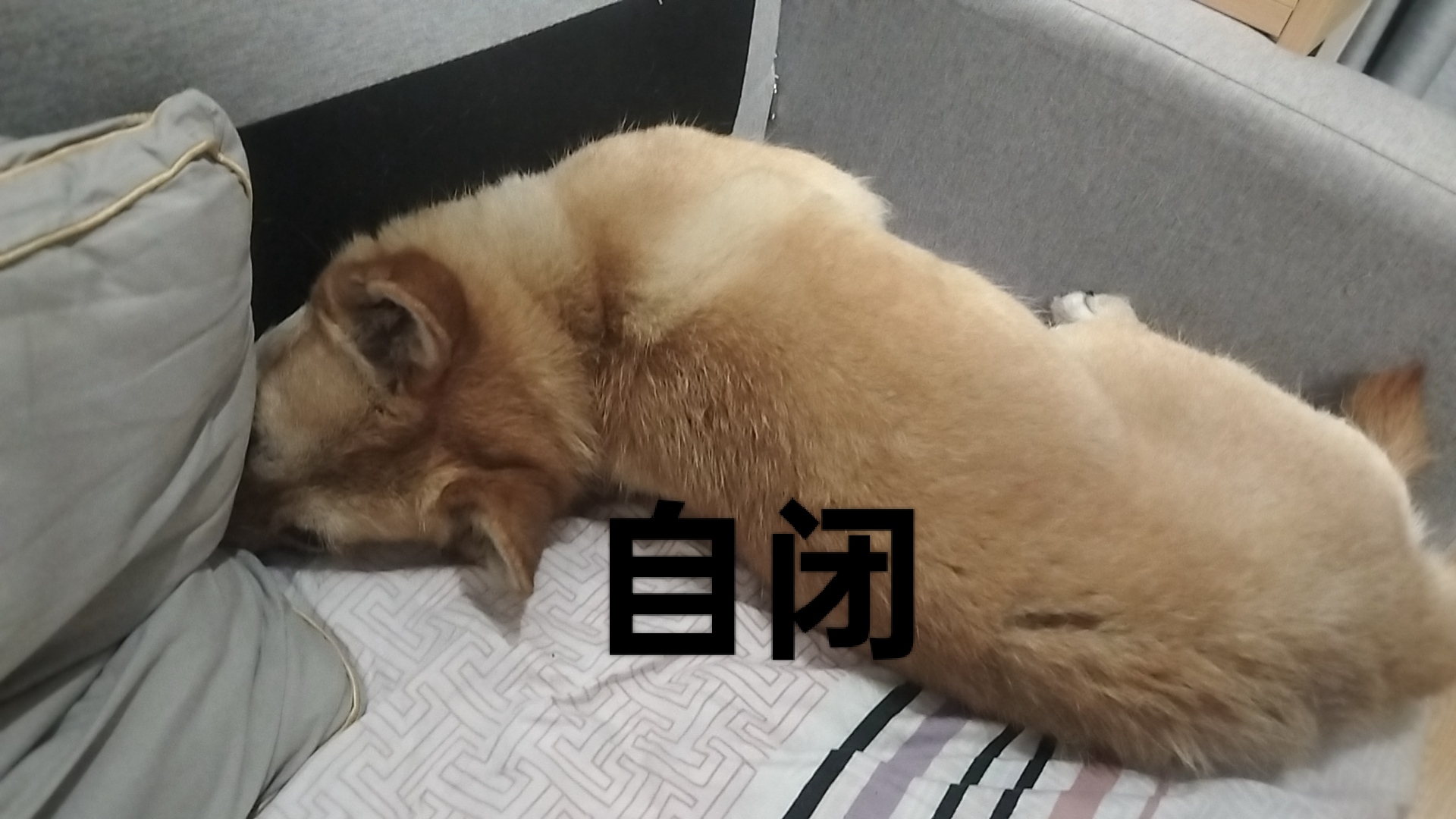 咖啡 7